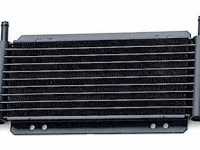 Auxiliary Cooler