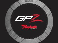 Raybestos GPZ Clutch Material