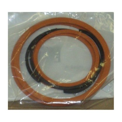 C4 Teflon Sealing Ring Kit